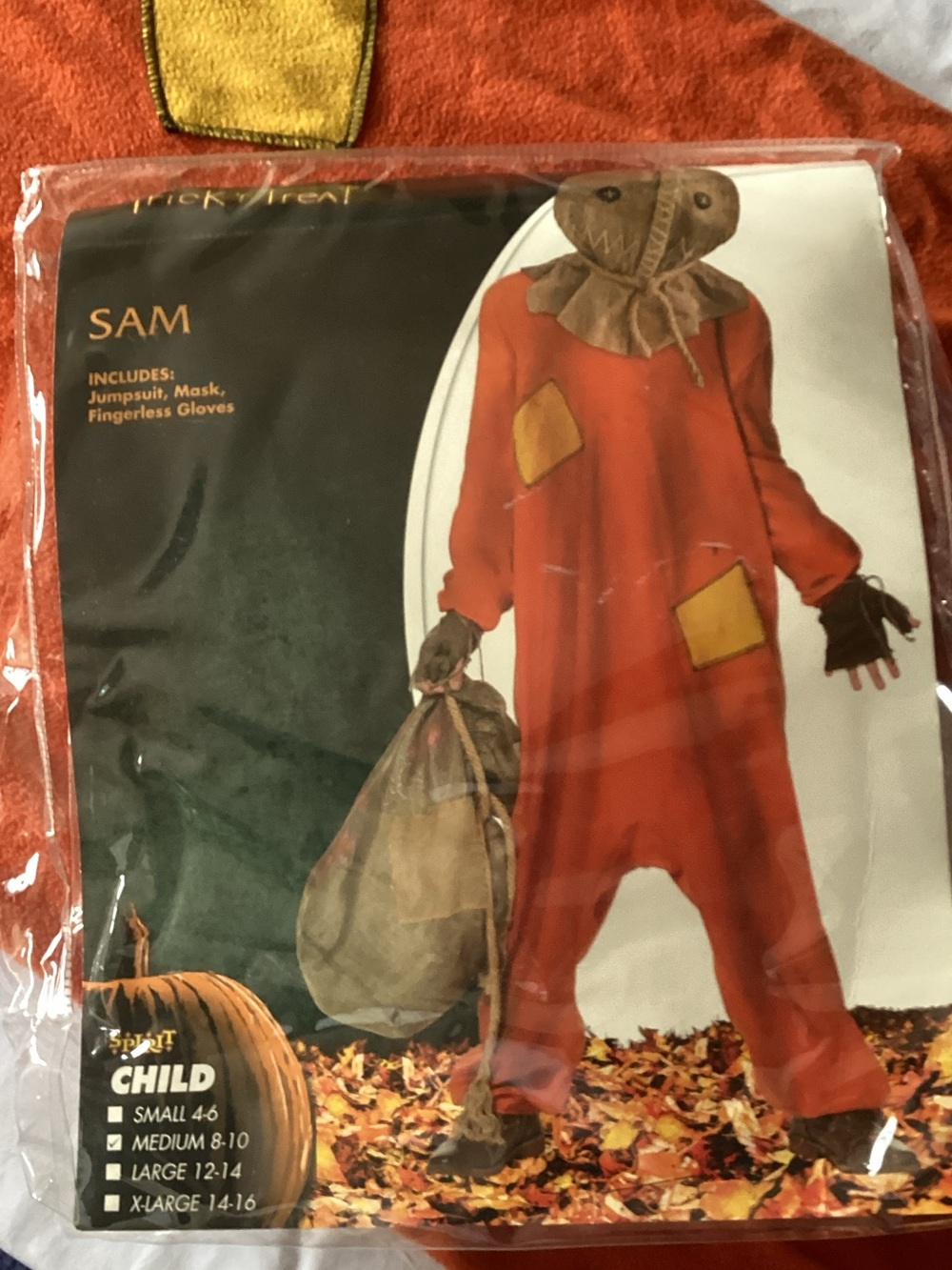 🎃 Spirit Kids SCARECROW Halloween Costume